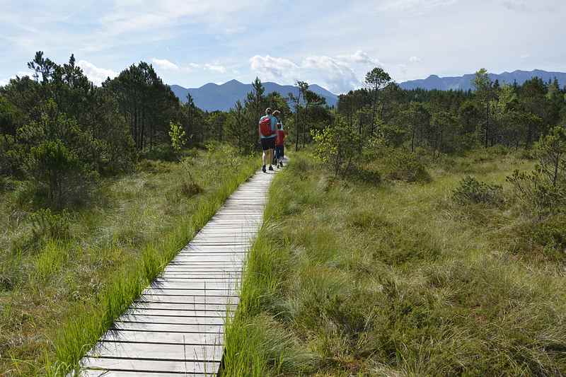  Murnau wandern mit Kindern - durch das Murnauer Moos