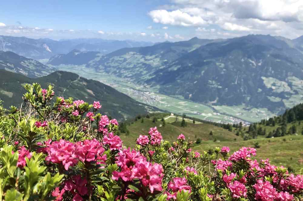 So schön ist es im Juni im Zillertal mit Kindern