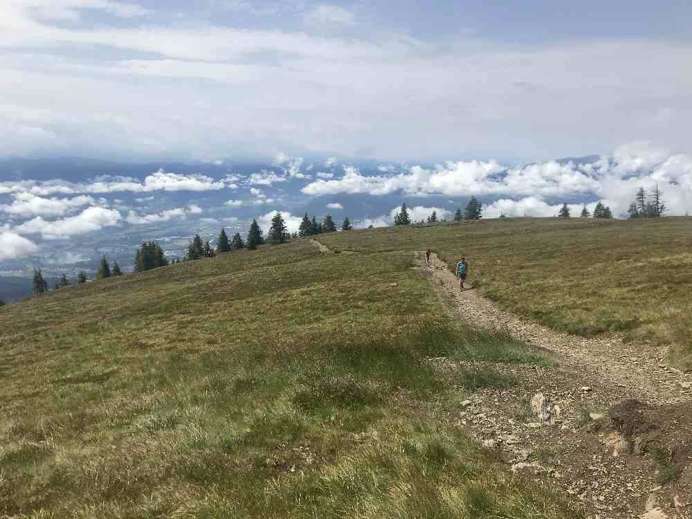 Diese Almwiese unterhalb vom Gerlitzen - Gipfel mit der Aussicht hat uns besonders gut gefallen