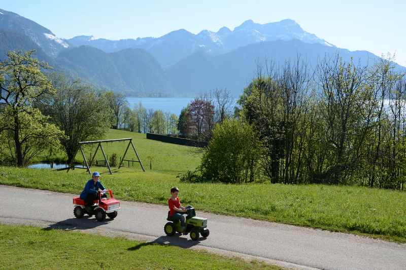 Am Nachmittag spielen die Kinder am Bauernhof, der Ferienwohnung am Attersee