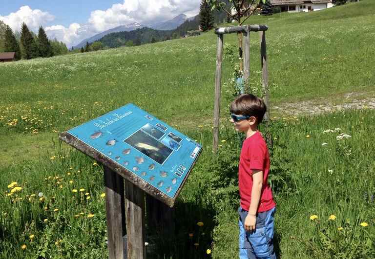 Welche Fische leben im Weissensee? Auf der Tafel wird´s erklärt.