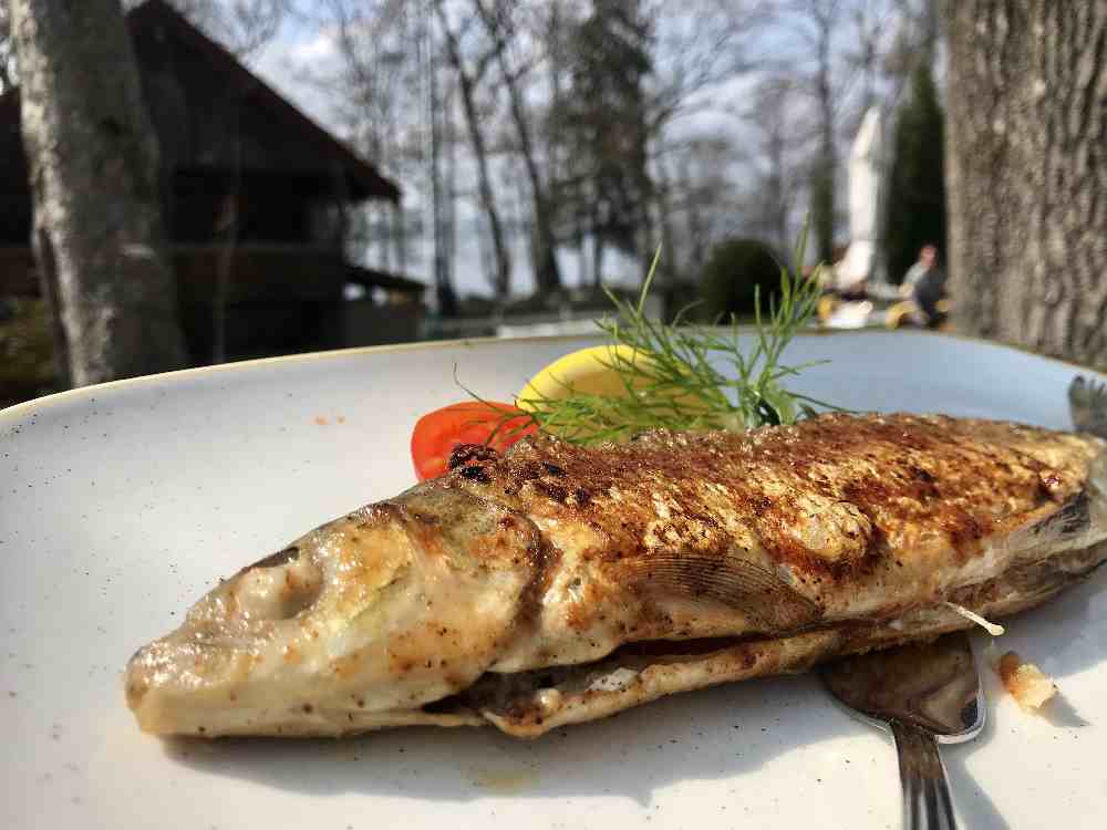 Mein Hauptgang: Frischer Fisch aus dem Starnberger See