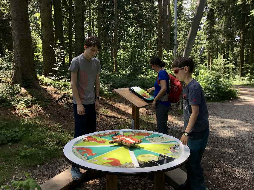 Wir erfahren viel über den Fuchs an dieser Station im Wald