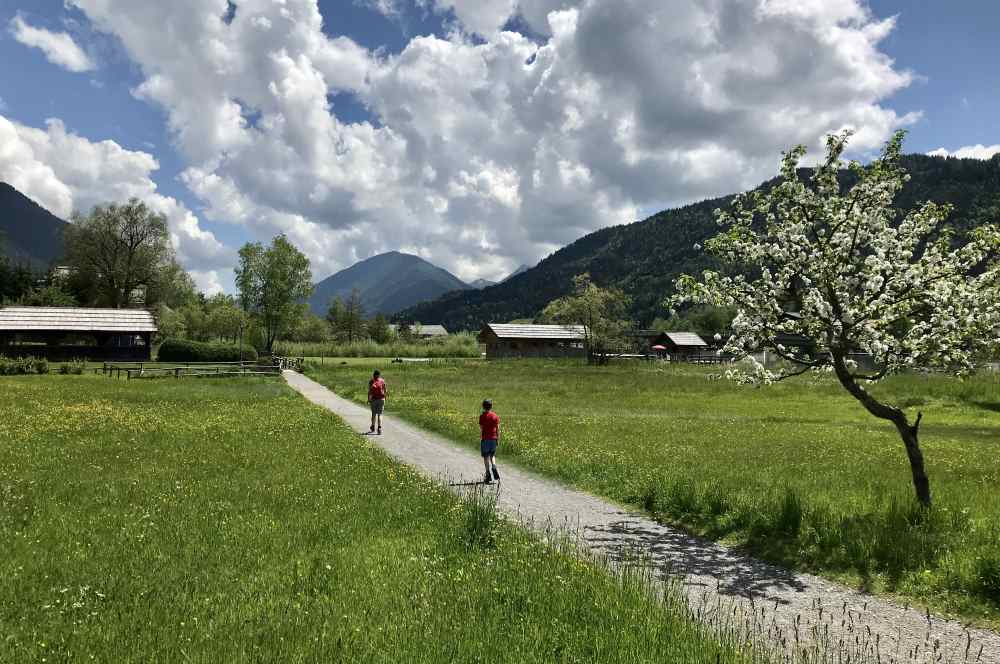 Der Frühling ist toll anzuschauen, mit den vielen bunten Blüten