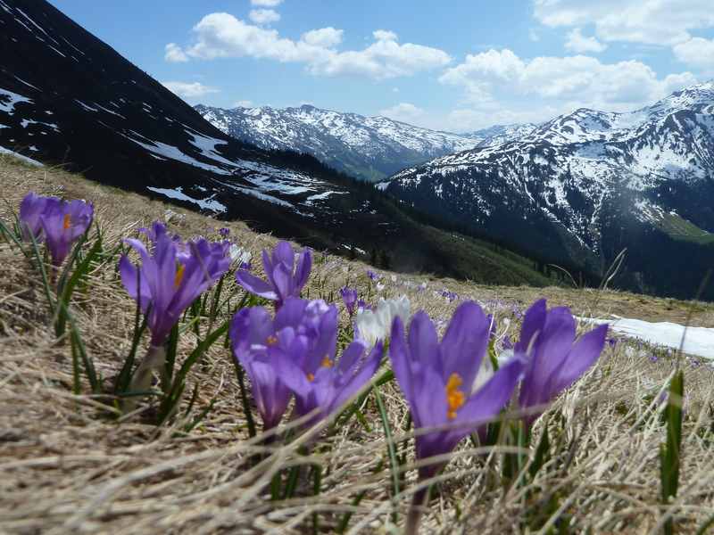 Frühlingswanderung am Kellerjoch