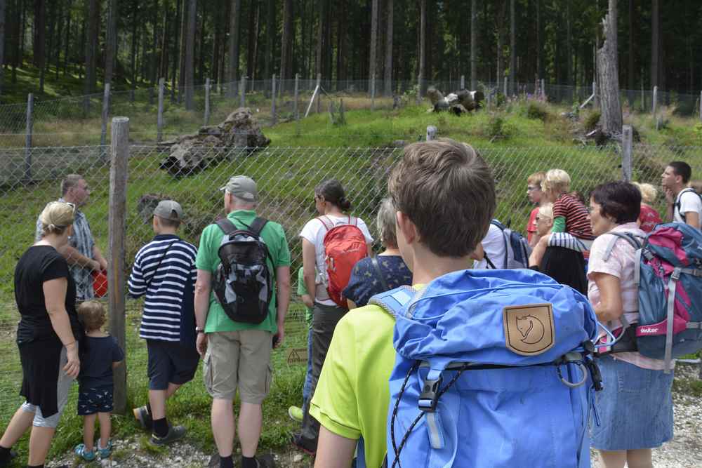 Wilder Berg Mautern Tierpark: Wir gehen zum ersten Gehege