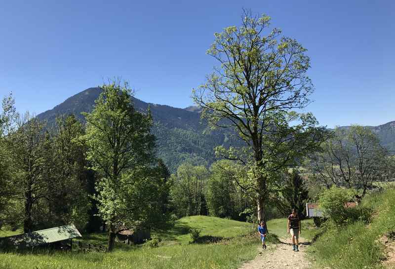 Baumgartenschneid Wandern: Auf dem Wandersteig geht es für uns hinauf zum Berggasthof Galaun 