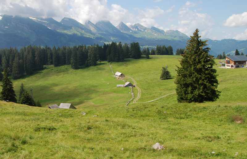 Gamplüt wandern - hinten reihen sich die Churfirsten auf