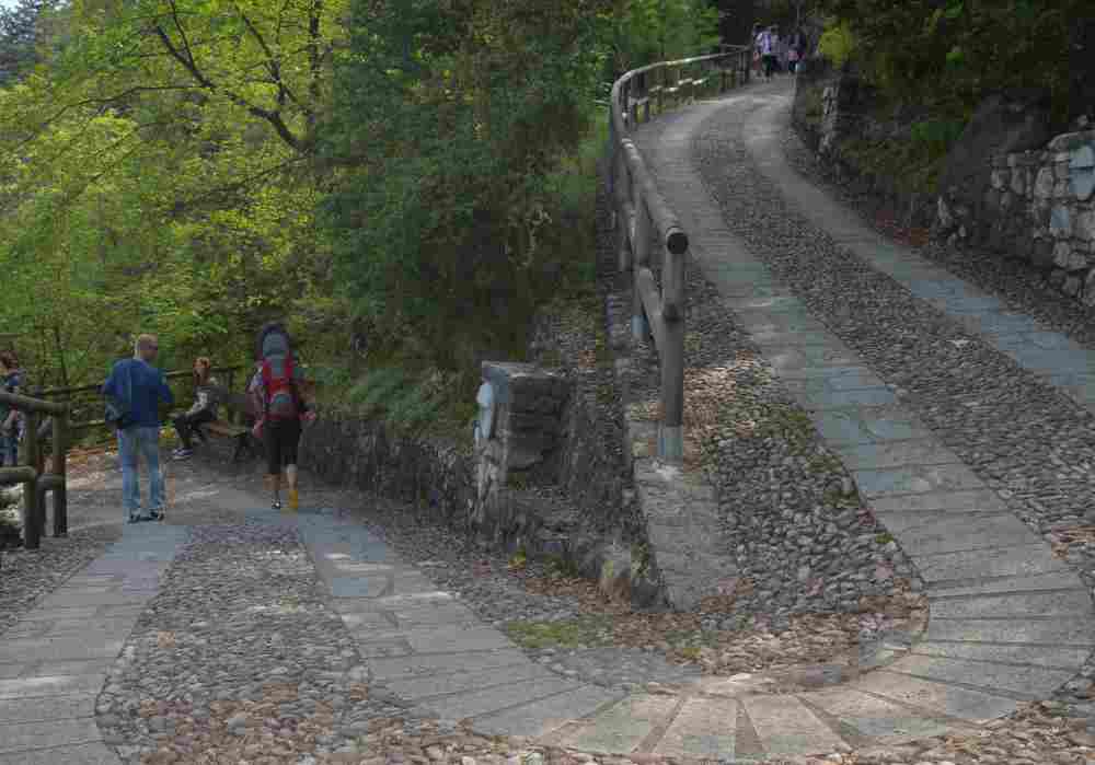 Über diesen breiten Weg führt der Weg hinauf, gut zum Wandern mit Kinderwagen