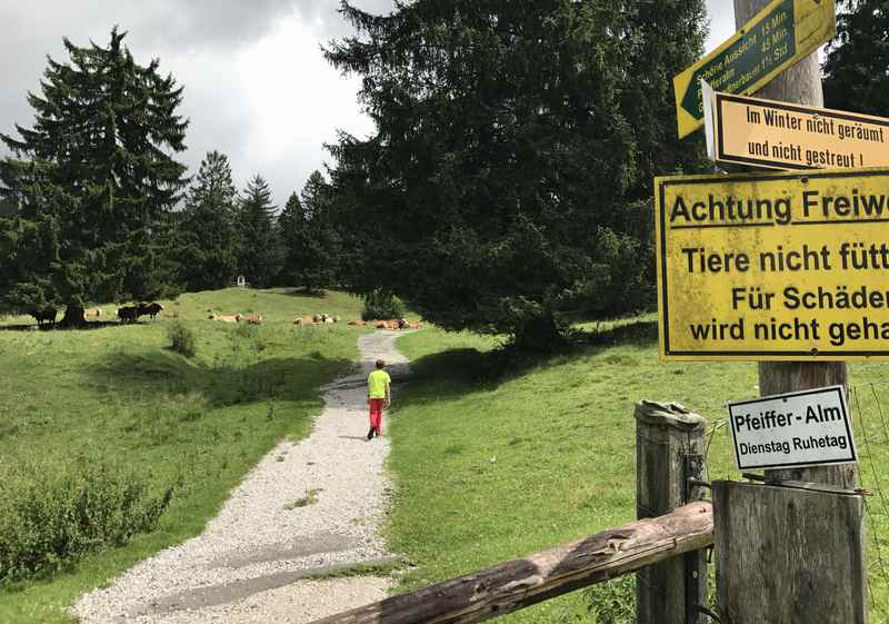 Über den Hasentalweg wandern wir zurück zur schönen Aussicht und in das Familienhotel Leiner