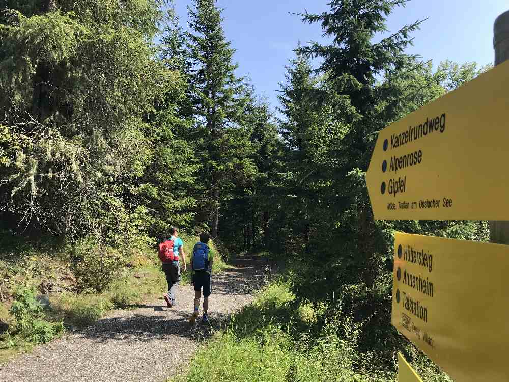 Das ist der Kanzelrundweg auf die Gerlitzen - nimmt euch unbedingt eine Wanderkarte mit, es gibt viele Wege!