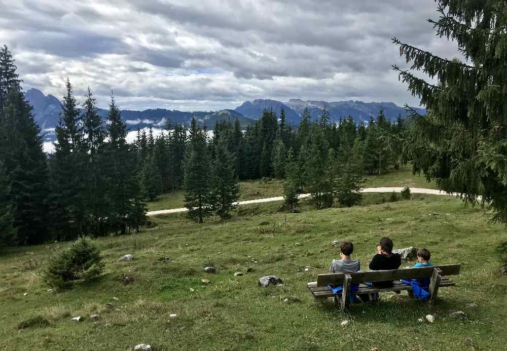 Von Gosau zur Iglmoosalm wandern - und auf das Dachsteingebirge schauen