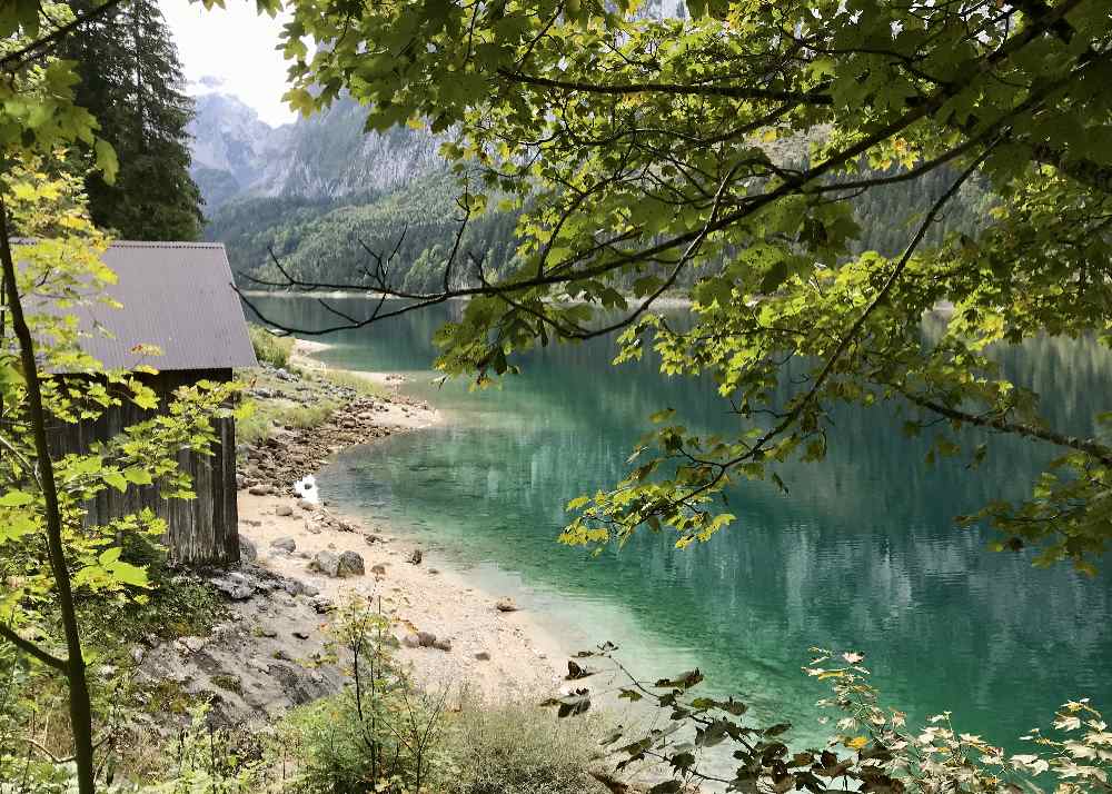 Glasklar und türkis - der Gosausee im Dachsteingebirge