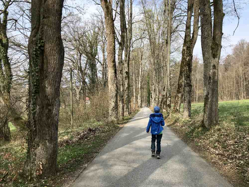 Vom Schloss wandern wir durch die schöne Allee mit den hohen alten Bäumen direkt zum See und den nächsten Gasthof