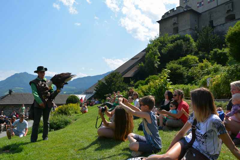 Die Greifvogelschau auf Burg Hohenwerfen - ein Ausflugstipp für Kinder