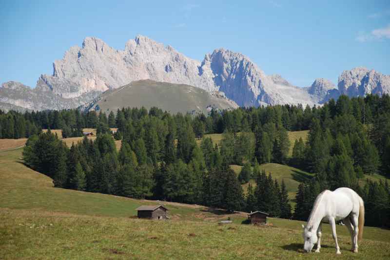 Gröden wandern mit Kindern? Auf der Seiseralm unterwegs oder auf den Raschötz oder den Col Raiser!