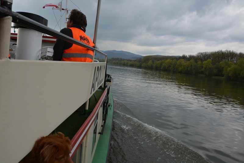 Die Hafenrundfahrt Linz: Auf der Donau im Familienurlaub 