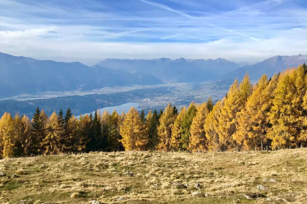 Herbsturlaub mit Kindern:  Golden färben sich im Herbst die Bäume. Zuerst Ahorn und Buche, später die Lärchen wie hier in Kärnten 