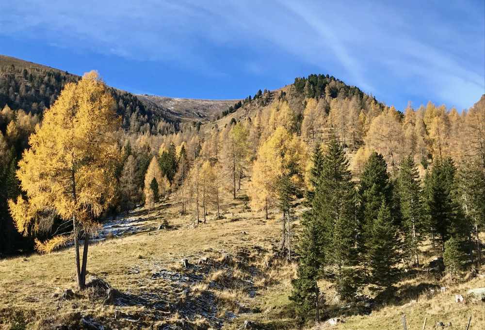 Familienhotel Bad Kleinkirchheim als Augangspunkt: Schönes Wetter mit Sonne und Herbstfärbung rund um das Familienhotel in Kärnten