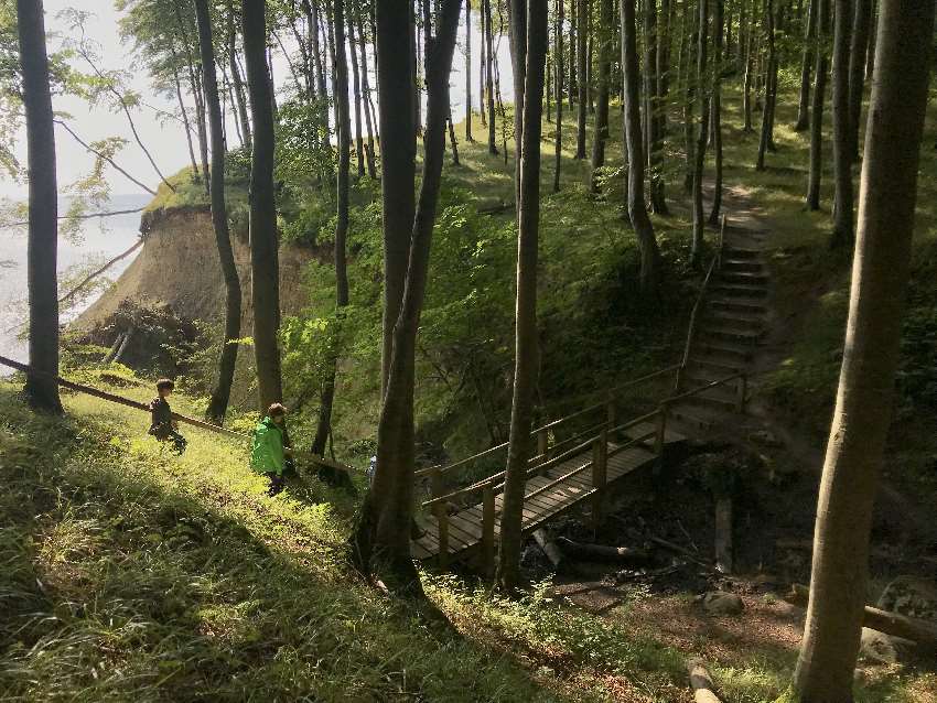 Am Hochuferweg Rügen wandern - die kleinen Schluchten werden mit Stufen überwunden