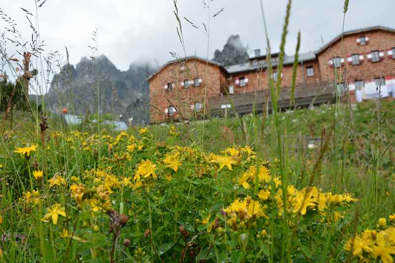 Zur Hofpürglhütte mit Kindern in Filzmoos wandern, Salzburg