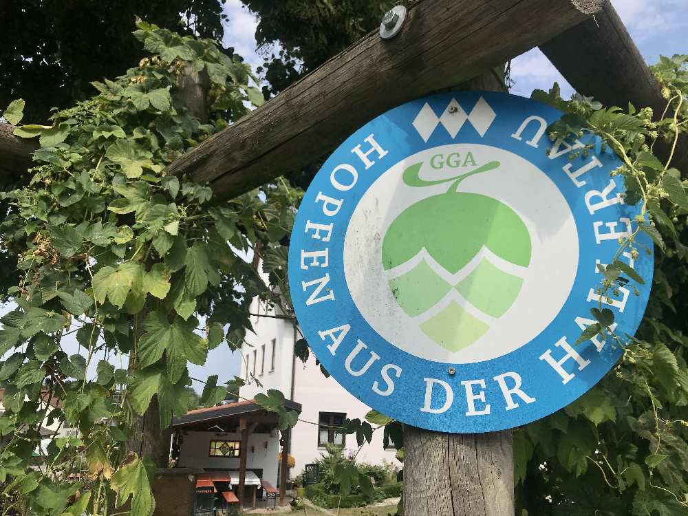 Zum Ursprung des Bieres: Wie ist das mit dem Hopfen? Wir besuchen dern Hopfen-Erlebnishof in der Holledau