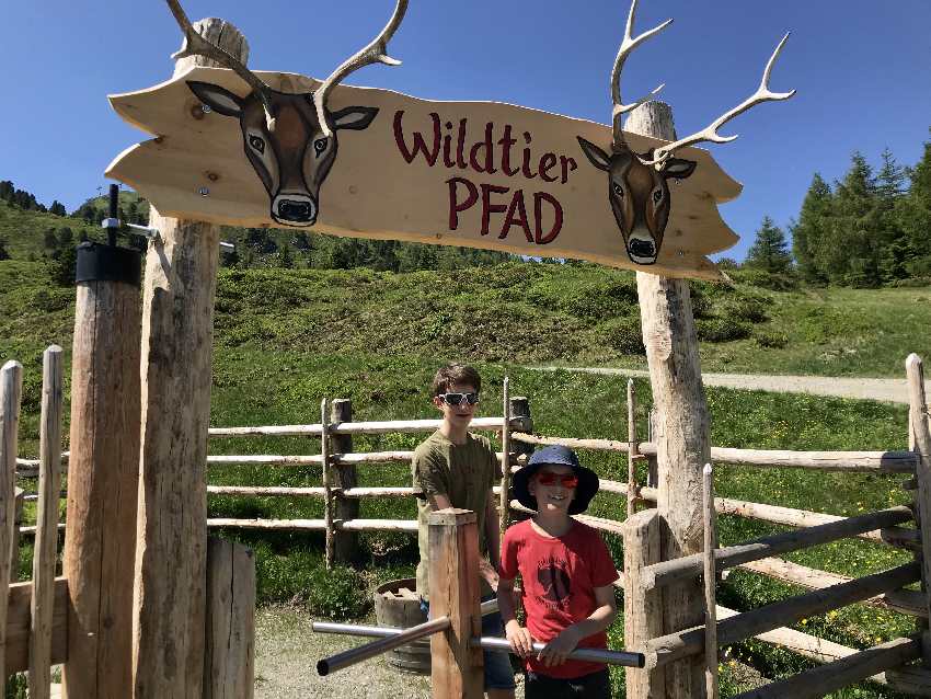 Der Hubertus Wildtierpfad Zillertal, in Hochzillertal