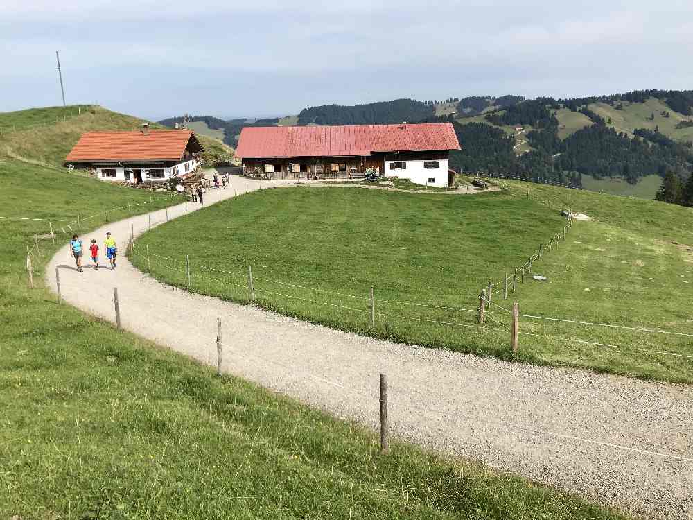 Buchenegger Wasserfälle Wanderung: Von der Bergstation der Hündle Bergbahn geht es in Richtung Hündle-Gipfel 