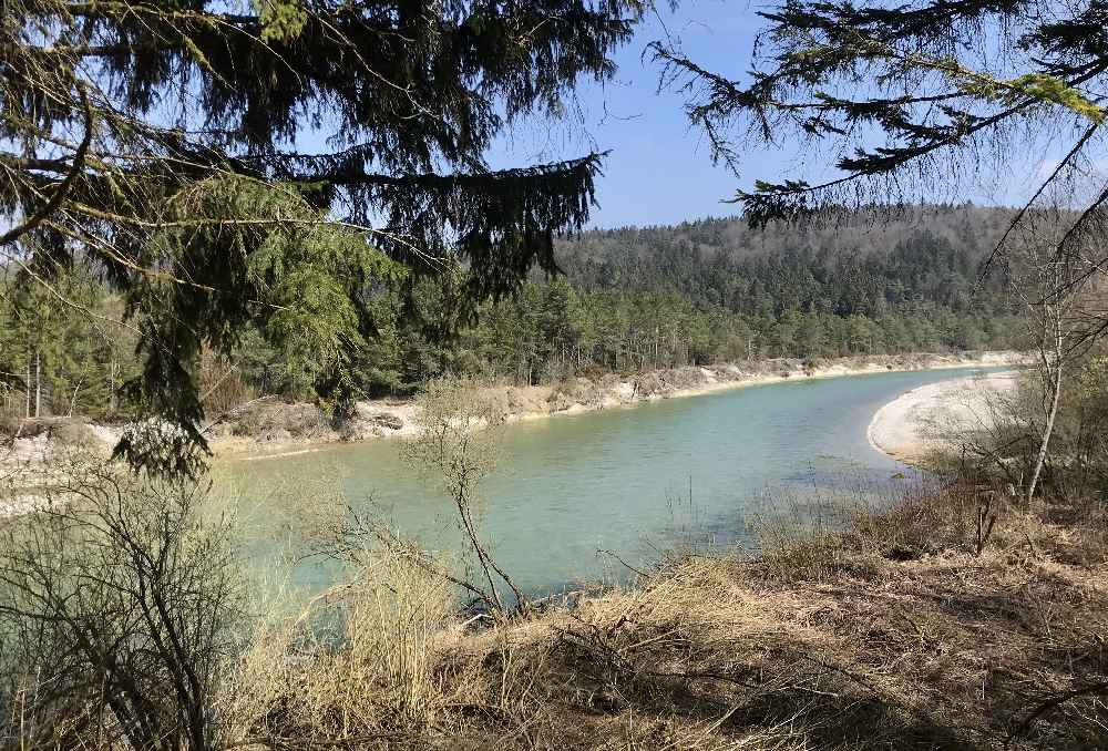 Der Blick zwischen den Bäumen auf die Isar - zu sehen vom Isar Radweg kurz vor Wolfratshausen, Pupplinger Au