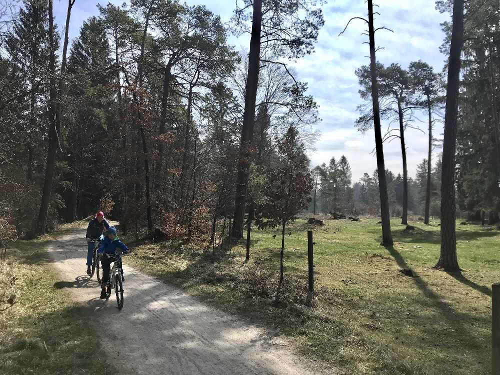 So naturnah ist der Isarradweg 