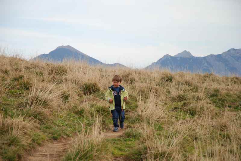 Unterhalb vom Iseler in Oberjoch gibt es Almwiesen zum wandern mit Kindern im Allgäu