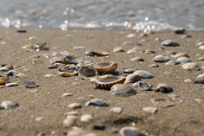 Familienurlaub am Meer in Italien - am langen Sandstrand in Cavallino Treporti bei Jesolo