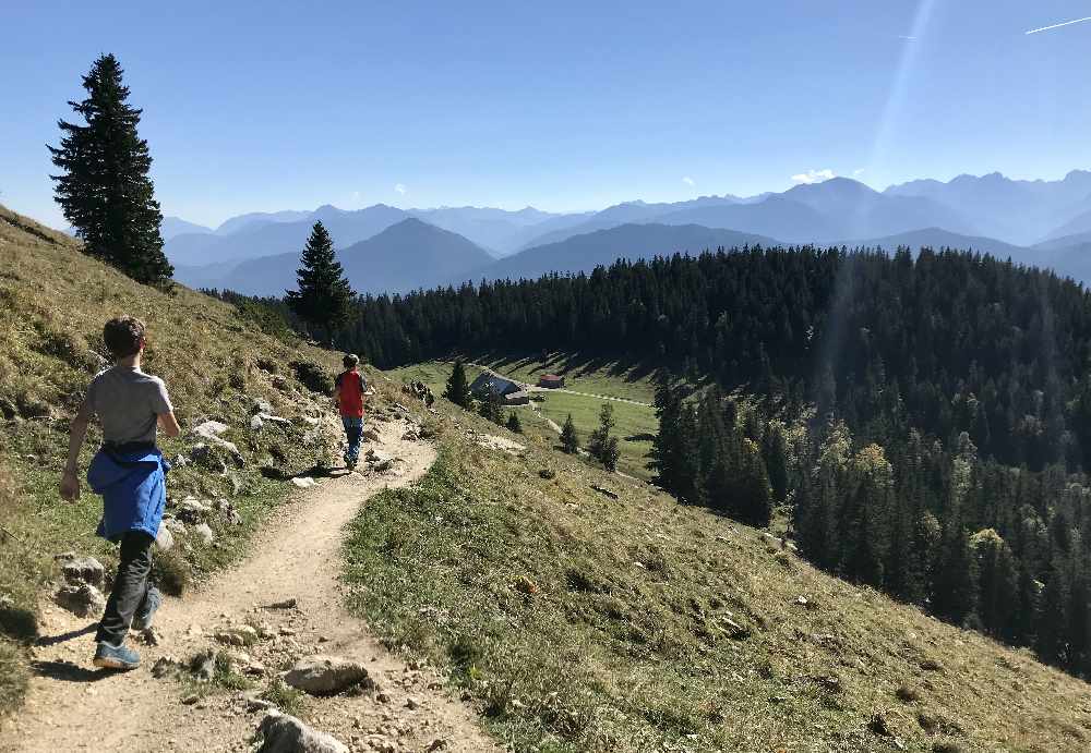 Walchensee wandern mit Kindern:  Unterhalb des Gipfels folgen wir dem Wandersteig zur Jocher Alm