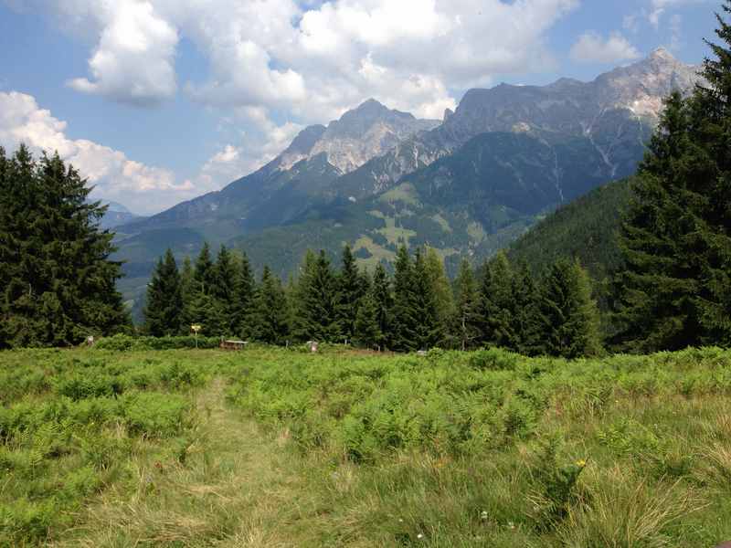 Jufen Maria Alm - wandern mit Kindern auf den Brimbachkogel 