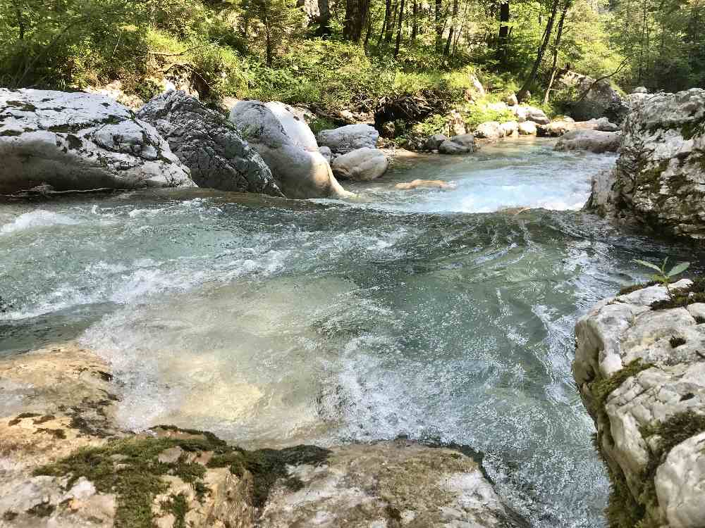 Wunderbar zu beobachten - das glasklare Wasser in der Tscheppaschlucht