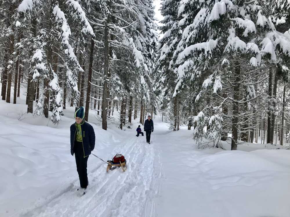 Rodeln mit Kindern - durch die Winterlandschaft hinauf wandern