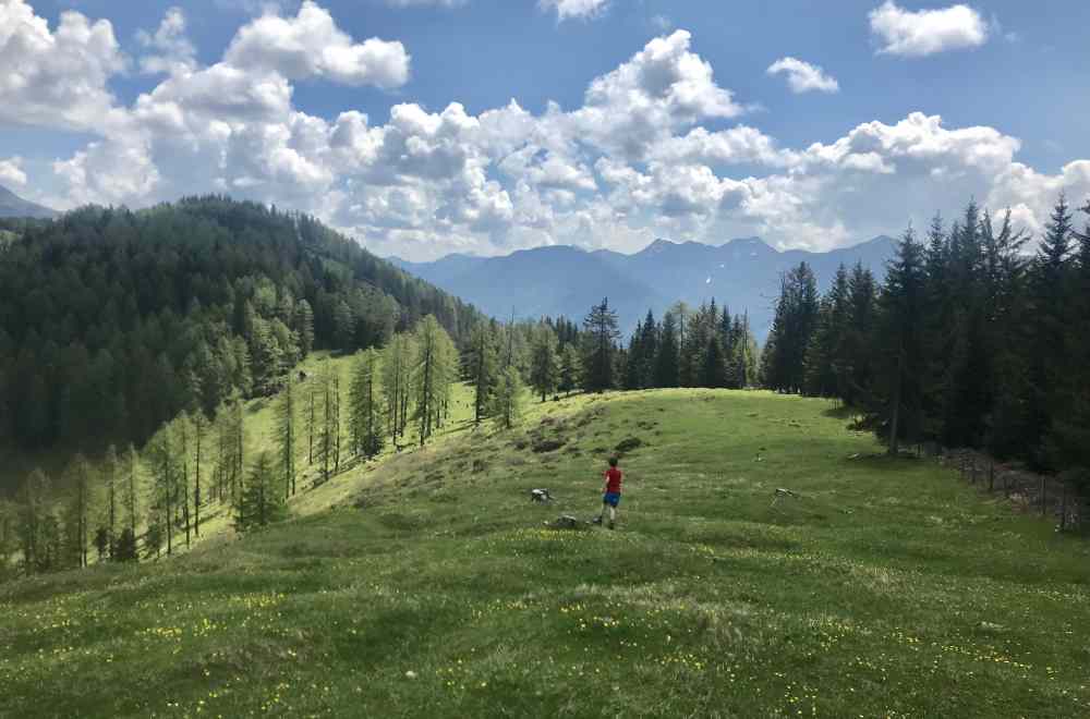 Der bewaldete Gipfel links ist der Hochtraten - uns gefällt die Wiese davor