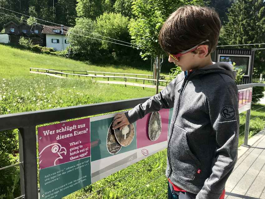 Während wir auf den freien Liftsessel warten, können die Kinder etwas über Tiere lernen