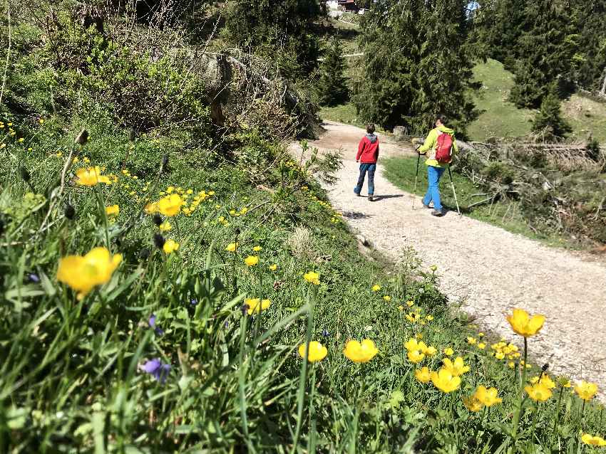 Bei der Bergstation Kaiserlift Kufstein startet unsere Wanderung mit Kindern