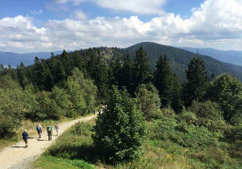 Auf dem Kaitersberg wandern mit Kindern in Bayern