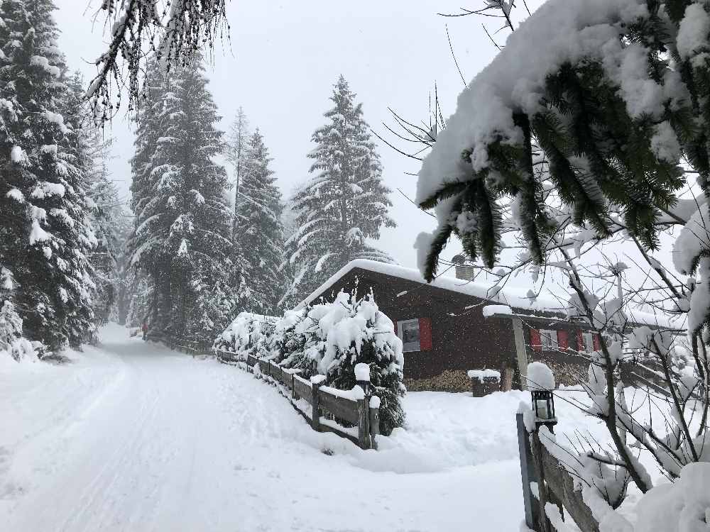 Kala Alm rodeln: Durch die verschneite Winterlandschaft geht es hinauf - vorbei an einigen Häusern und Hütten 