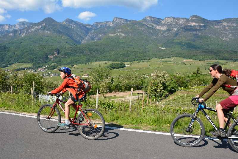 Durch die Weinberge zum Kalterer See radfahren - hinten die Leuchtenburg zu sehen