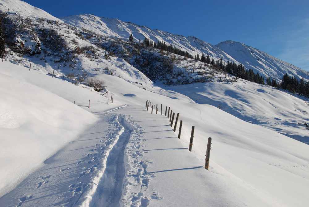 Diese Skitouren mit Kindern empfehlen wir