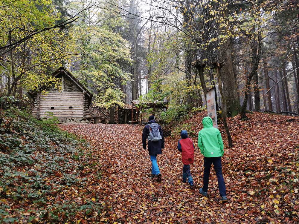 Auf dem Keltenbaumweg Attergau zum Keltenhaus im Wald wandern