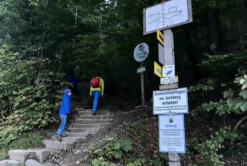 Walchensee wandern mit Kindern: Bei der Kesselberghöhe oberhalb vom Walchensee beginnt die Wanderung auf den Jochberg