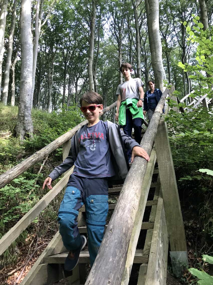 Vom Hochuferweg geht es über die Holztreppe Richtung Kreidestrand