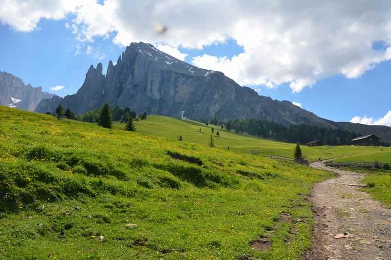 Das war eine schöne Kinderwagen Wanderung auf der Seiseralm in Südtirol