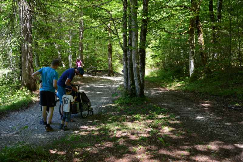 Siebenhütten: Eine schöne Kinderwagen Wanderung am Tegernsee, bei der auch größere Geschwister schön wandern können 