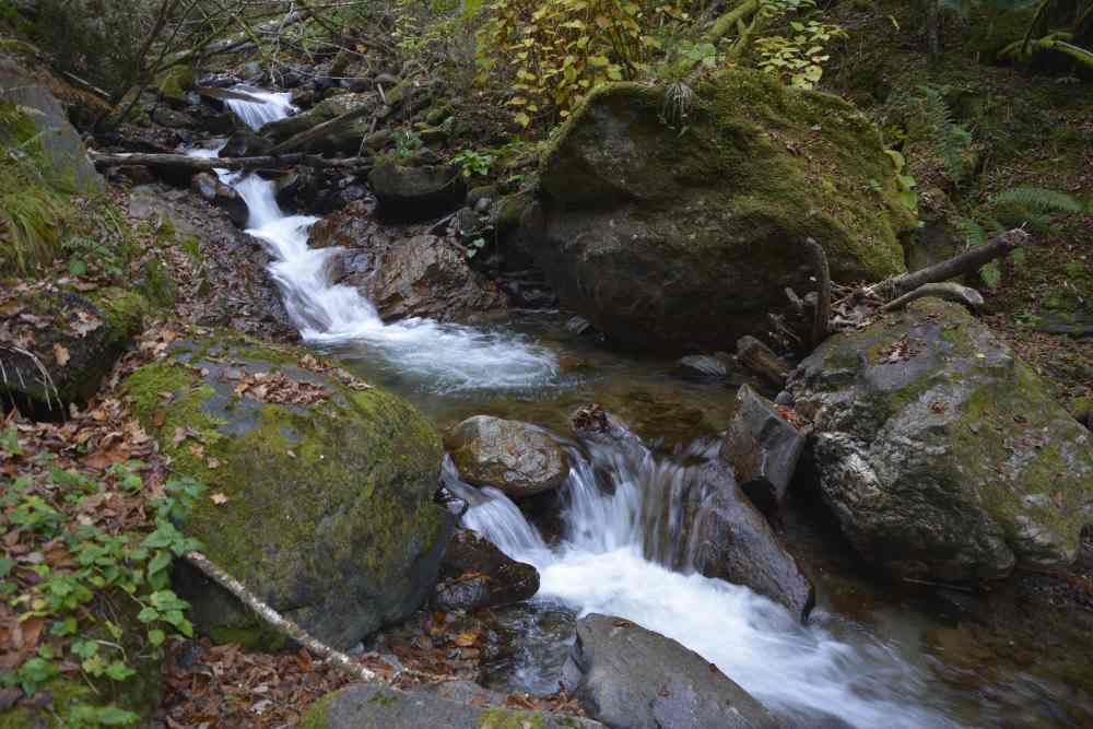 So fließt der Bergbach von der Millstätter Alm in Richtung Millstätter See