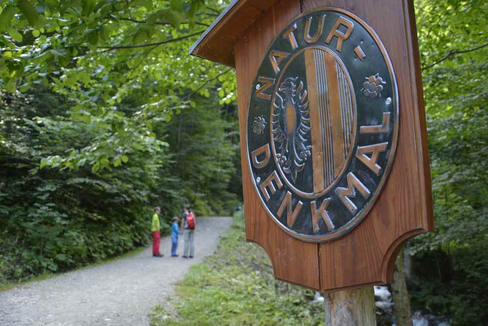 Die Klamm ist ein ausgewiesenes Naturdenkmal